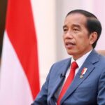 jokowi dodo