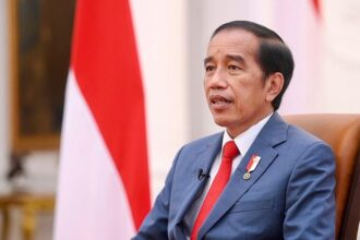 jokowi dodo